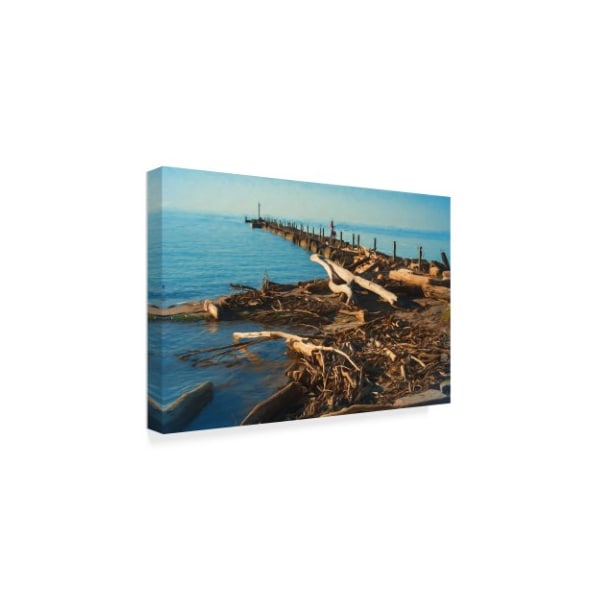 Anthony Paladino 'Driftwood Washed On Shore' Canvas Art,22x32